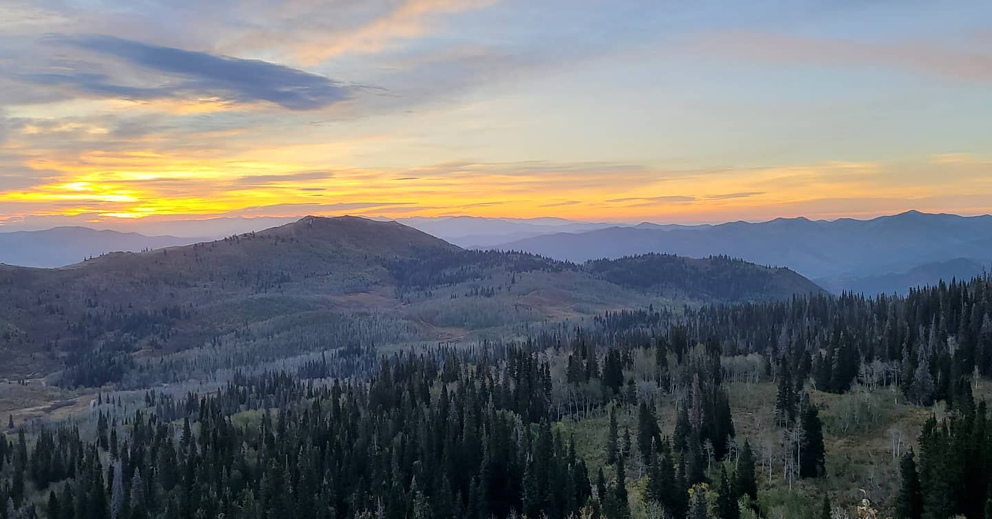 Maple Creek Farm and Ranch